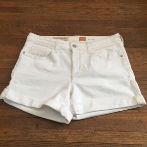 Pilcro White Denim Shorts